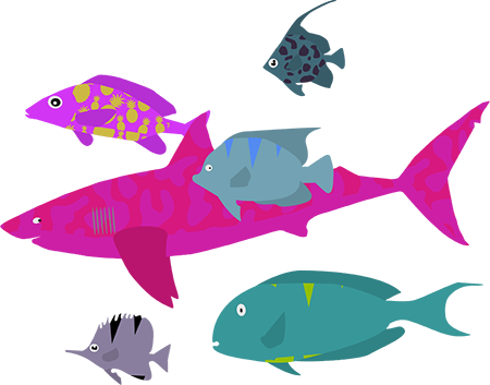 Feesh Types