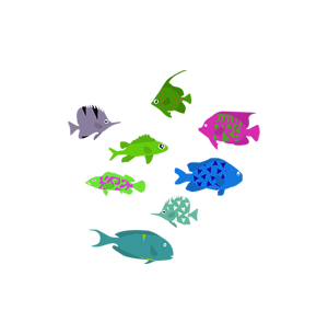 Mini Feesh